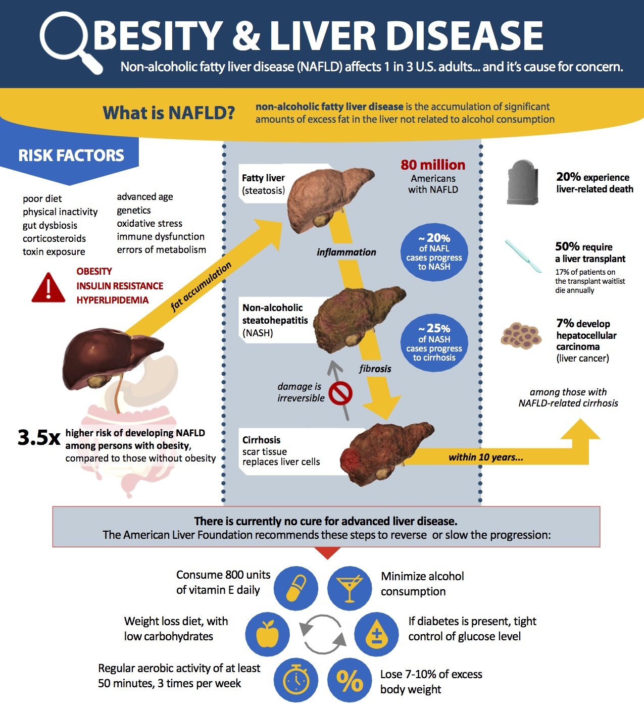 MASLD / NAFLD / MAFLD in Adults